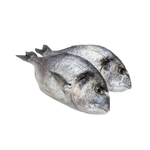 DORADE LOCAL +/-1,6KG