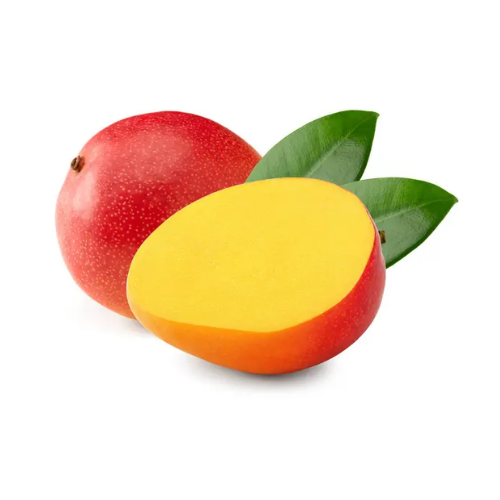 MANGUE GROS DES 1 7CM